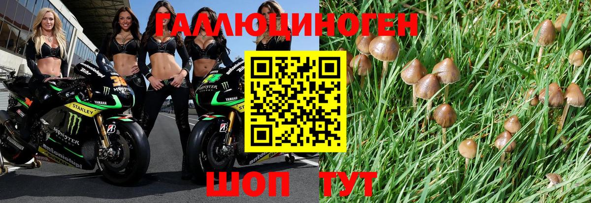 Псилоцибиновые грибы мухоморы Сланцы