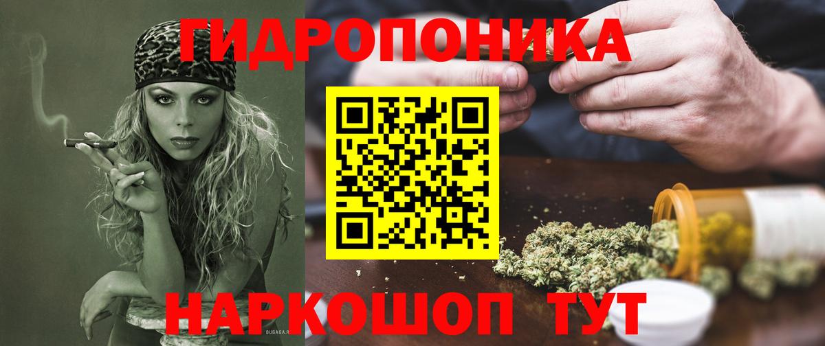 Марихуана семена Сланцы